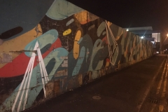 wp-1487017558049